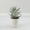 Artificial ornamental plants artificial aloe with competitive price