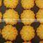 high capacity 150kg per hour PLC cookie making /forming machine
