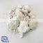 Ceramic uses Kaolin Clay FREE SAMPLE