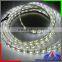 ROHS Approved RGB SMD 5050 Background LED Strip Light
