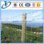 farming net/farm fencing net/electric fence net/anti animal fence net /fencing net