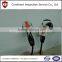 electronic products inspection service