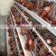 A Type Chicken Cages For Sale with Trade Assurance