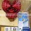 17 1/2" TCI Tricone Rock Bits for Water Well Drillings