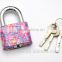 Color painted Disc mechanism high quality padlock