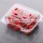 high grade disposable clear plastic fruit box