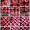 shandong fresh red fuji apple exporter in nortern China