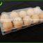 Clear transparent plastic egg tray/egg container