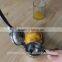 fruit and vegetable squeezer