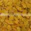 Supply Varies Dried Raisins in high quality