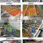 Small and Medium Size Vegetable and Fruit Washing Machine