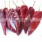 2016 new crop mild hot yidu chili RED CHILI