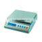 Electronic Precision Balances DT2K