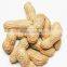 Delicious roasted peanuts in shell for sale