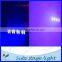 American DJ LED BAR UV 16