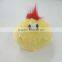 Pet Jumping Bouncing Ball