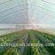 PE Mulch Film