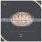 2016 Hot Sale Modern Ceiling Light Home Decorative European Style Ceiling Light, Ceiling Lamp Glass Leaf for Home Hotel