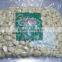 Top quality Fresh Garlic Peeled Garlic