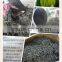 2016 High quality dried sea kelp used for seaweed salad