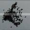 Antirrhinum majus flower seeds