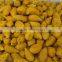 Exporters of Turmeric Bulb Erode