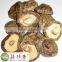 Shitake mushroom extract