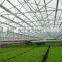 Commercial Greenhouses China