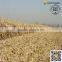 4YZ-6 Gold Supplier for Combine Harvester