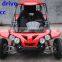 250cc Dune Buggy/ CVT Shaft Drive 250cc Go Kart / 250cc Buggy (TKG250E-A)