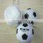 1552806 New Design cheap disposable football poncho with logo