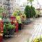 Wood plastic composite floor grey embossed wpc decking