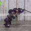 GNW FL-OK93-40-8 8x flowers orchid flower home decoration any color