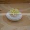 wholesale small porcelain jewel box with flower shape design