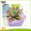 Wholesale colorful cheap mini plastic flower pots