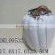 white pumpkin ceramic decorations festival holloween decorations