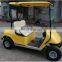 Mini Golf cart new fashion two seat