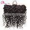 Wholesale Factory Price Brazilian Hair curly wave ear to ear lace frontal