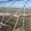 Light weight thin wall gi square hollow section pipe for greenhouse