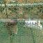 Square Welded Mesh Fence Mesh Pvc Coated Welded Wire Mesh