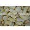 Nature Essence Frozen sweet corn baby IQF baby corn cut