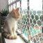 Wholesale Customized Plastic Coated Wire Mesh Garden Pet Protective Fencing