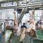 Goat Halal Slaughter Lamb Skinning Machine For Sheep Slaughterhouse
