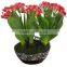 Wholesale high imitation artificial/fake kaffir lily/arificial flower for decoration with reasonable price