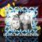 Special Customized tempered glass for Photo Frame