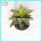 19cm high quality real touch artificial succulent plants tropical plants