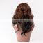 100 virgin Brazilian lace front wigs afro kinky curly lace front wig brazilian hair lace front wig