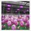 Greenhouse Led Flower Light for Growing Tomato, Lettuce, Vegetable, Flower, Orchid, Medicinal Plants