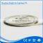 Decorative colorful 5050 IP65 24V 30led Blue mini led strip light