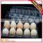 OEM clear plastic egg tray